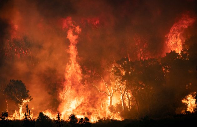 Des forêts en feu dans la région de Chefchaouen, au nord du Maroc, le 15 août 2021.