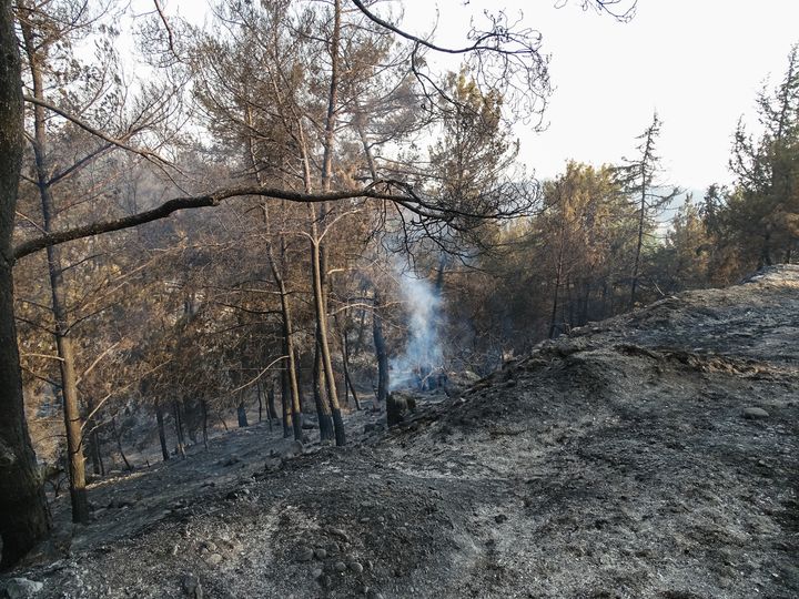 Στιγμιότυπο από την πυρκαγιά στην Ρόδο, Δευτέρα 2 Αυγούστου 2021. 
