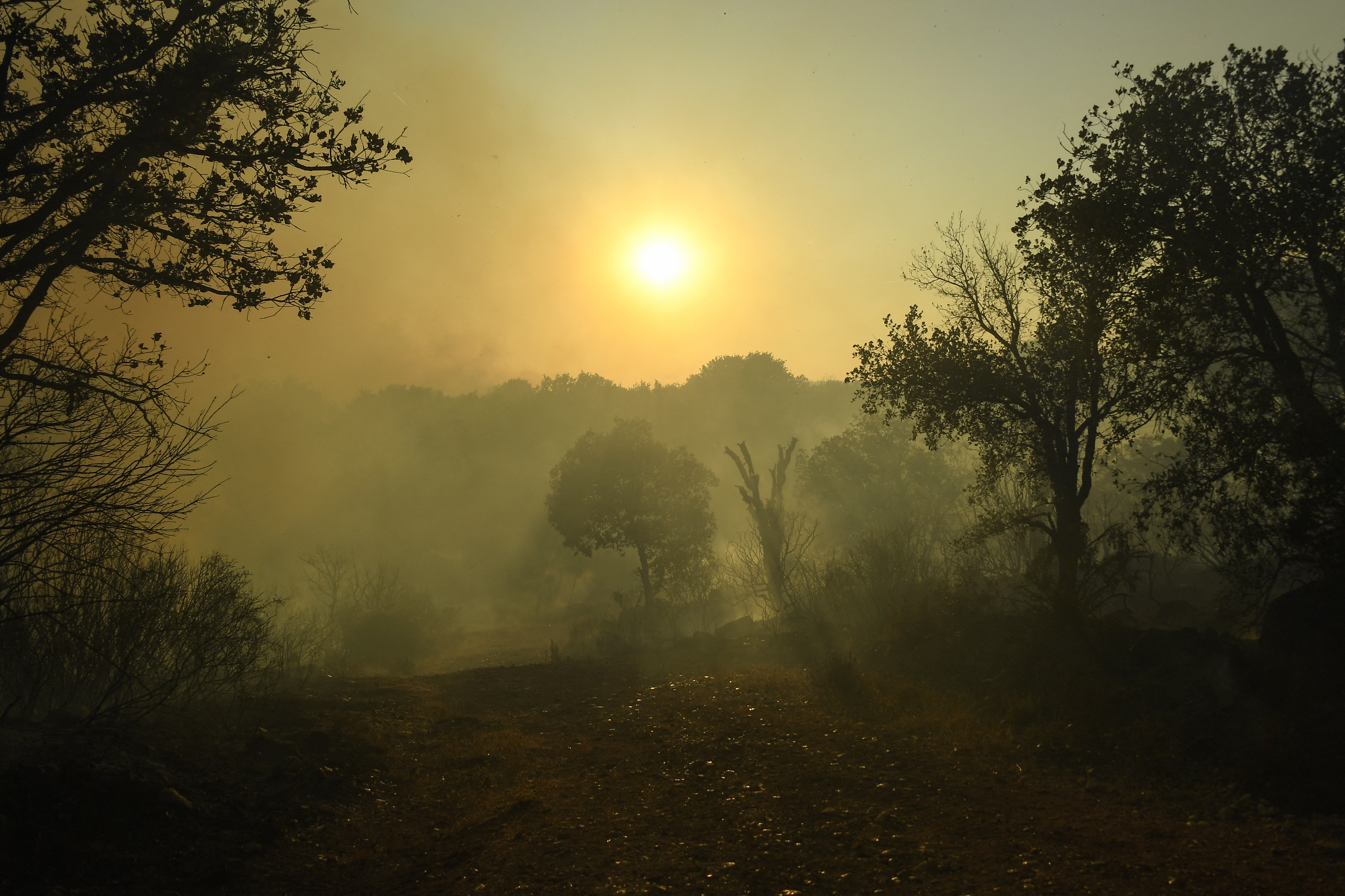 L'incendie dans le Vaucluse contenu après 250 hectares parcourus