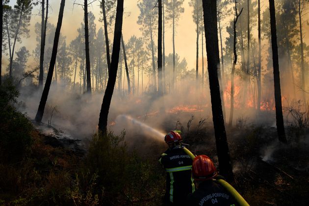 Les pompiers travaillant sur un feu dans une forêt à Vidauban (Var), le 18 août 2021.