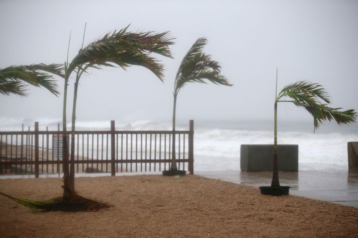 Strong winds blow over trees as Tropical Storm Henri made landfall in Westerly, R.I., Sunday, Aug. 22, 2021. (AP Photo/Stew Milne)