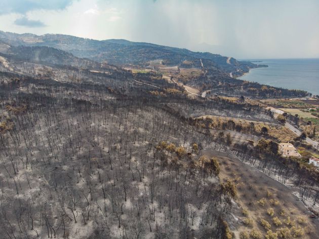 Forêt brûlée près de Rovies en août 2021. Une vue panoramique aérienne d'un drone montre les conséquences dévastatrices des incendies de forêt sur l'île d'Eubée en Grèce après l'incendie qui a duré près de 10 jours, brûlant des forêts, des villages, des entreprises, des installations électriques de réseau, des animaux etc. (Photo de Nicolas Economou) 