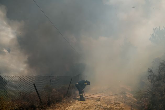 Πυρκαγιά στην Εύβοια