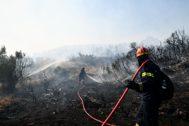 Πυρκαγιά στα Βίλια. Δευτέρα 23 Αυγούστου 2021. (EUROKINISSI / ΤΑΤΙΑΝΑ ΜΠΟΛΑΡΗ)