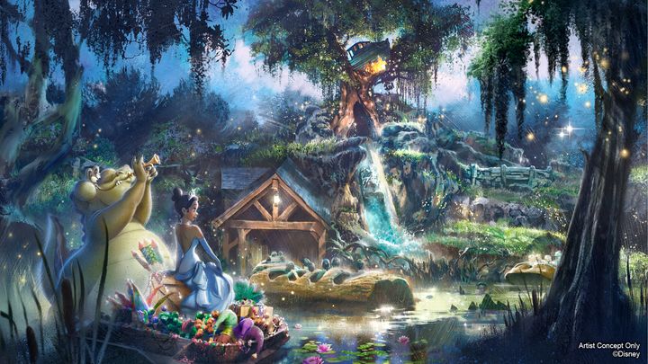Plans to revamp Splash Mountain with a new theme were announced last year.