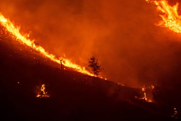 Le feu dévore des pentes de la chaîne de montagnes Troodos, alors qu'un incendie géant fait rage sur l'île méditerranéenne de Chypre, dans la nuit du 3 juillet 2021.