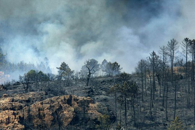 Des fumées s'élèvent, le 30 juillet 2003 près de La Motte, au-dessus de la forêt calcinée du Massif des Maures, signalant la reprise de l'incendie qui a déjà dévasté plusieurs milliers d'hectares. 