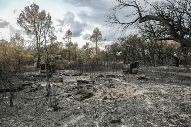 L'incendie du Var est désormais officiellement déclaré éteint(Photo des ravages de l'incendie sur le massif des Maures dans le Var le 24 août. Par Laurent Coust/SOPA Images/LightRocket via Getty Images)