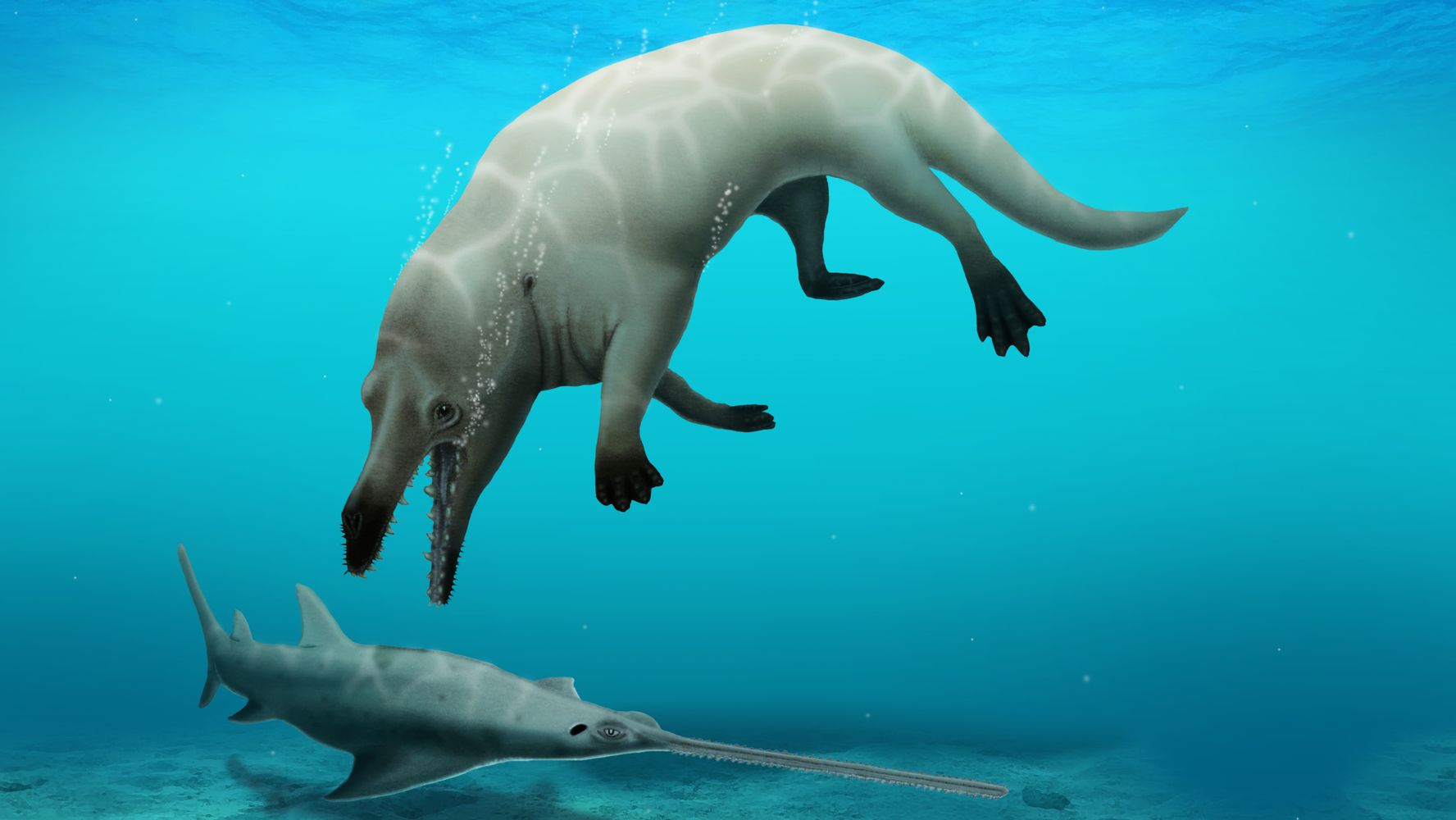 Scientists Find Fossil Of Deadly 4-Legged Whale They Didn’t Know Existed