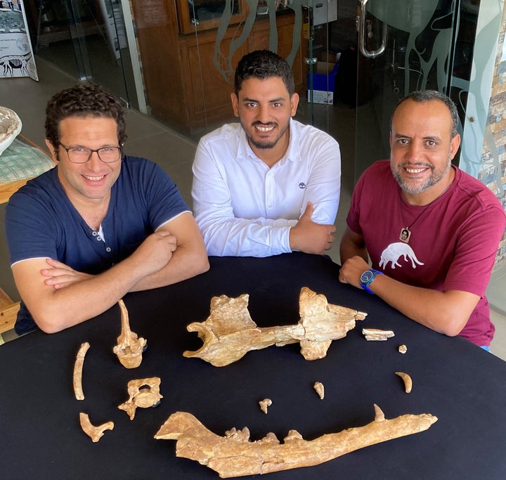 Egyptian paleontologists Mohammed Antar, Abdullah Gohar and Hesham Sallam sit around the fossils of the Phiomicetus anubis at Mansoura University Vertebrate Paleontology center.