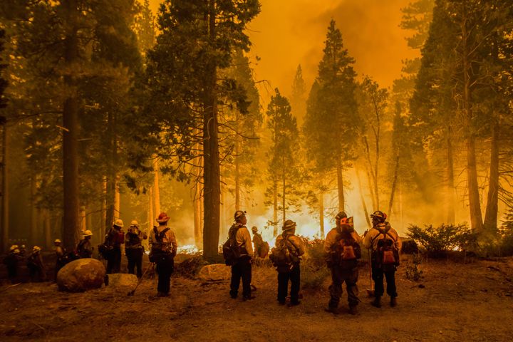 Firefighters stand by flames at the Caldor fire after starting a Backfire. The Caldor fire has grown to over 130,000 acres an