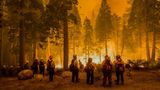 Firefighters stand by flames at the Caldor fire after starting a Backfire. The Caldor fire has grown to over 130,000 acres and threatens to grow to the Tahoe basin. These images where taken at a backfire set by crews in an effort to gain control on the Caldor fire.