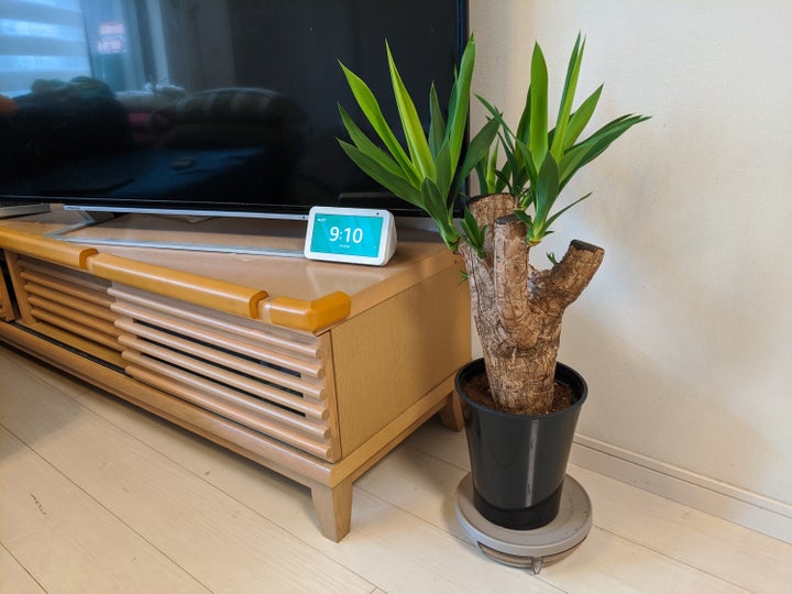美容室のオーナーが開発した鉢皿が画期的だった 観葉植物を育てる人は必見です ハフポスト Life 美容室のオーナーが開発した鉢皿が画期的だった 観葉植物を育てる人は必見です ハフポスト Life