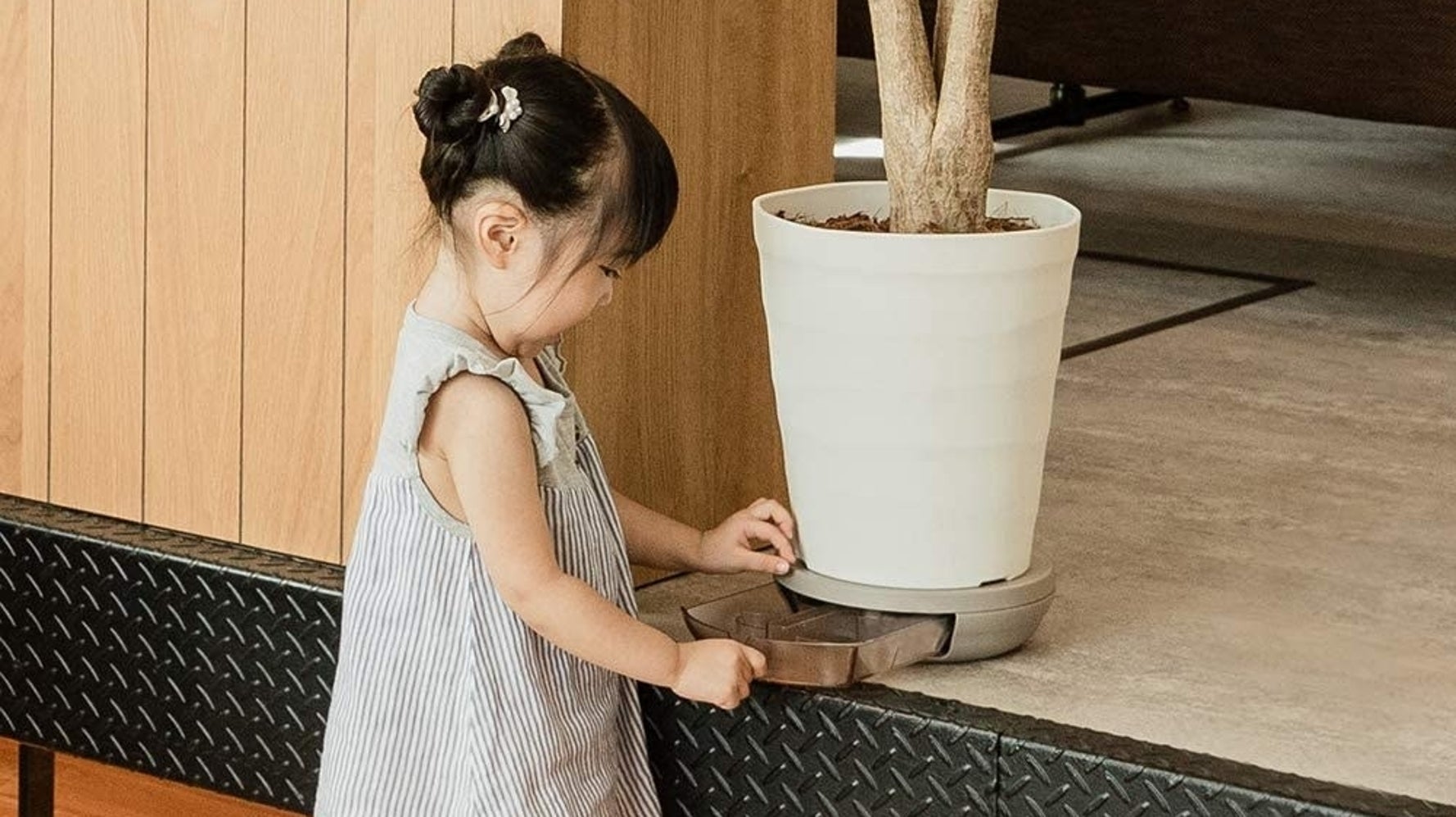 美容室のオーナーが開発した鉢皿が画期的だった 観葉植物を育てる人は必見です ハフポスト Life 美容室のオーナーが開発した鉢皿が画期的だった 観葉植物を育てる人は必見です ハフポスト Life