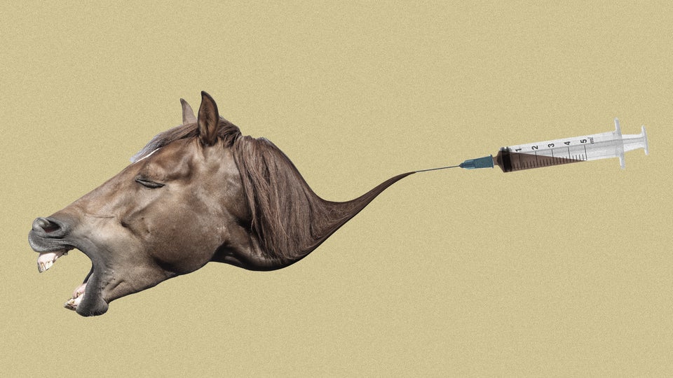 People Are Eating Horse Paste To Fight COVID. These Doctors Are One