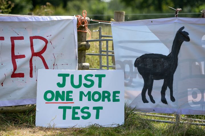 Protest signs are seen at Shepherds Close Farm the home of Geronimo the Alpaca in Wooton Under Edge, Gloucestershire on August 25, 2021 in Bristol.