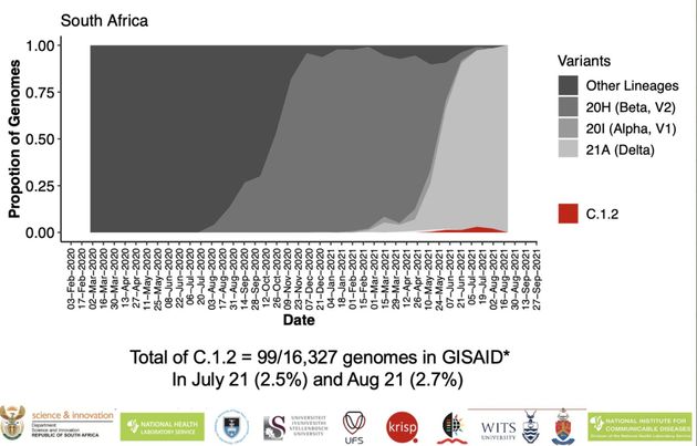 La proportion des différents variants du coronavirus dans le total des génomes séquencés en Afrique du Sud. Le variant C.1.2 est en rouge. Delta, en gris clair, est largement dominant.