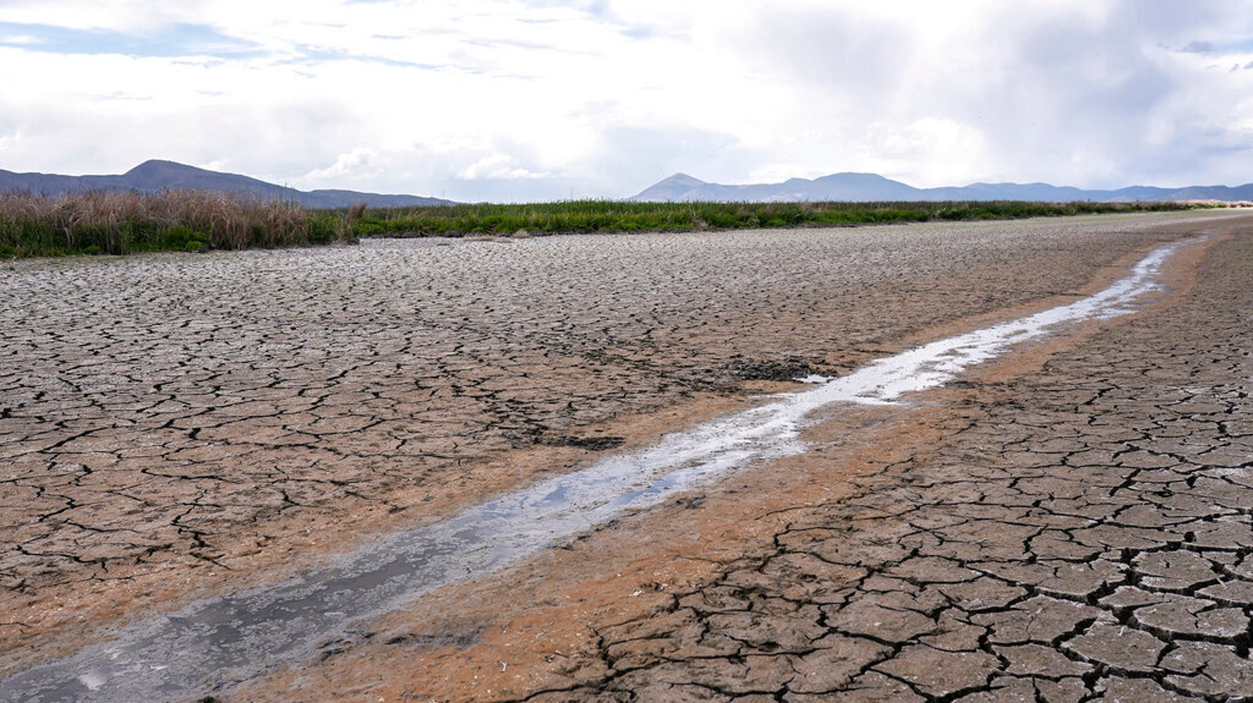 Judge Tosses Trump Rollback Of Clean Water Safeguards