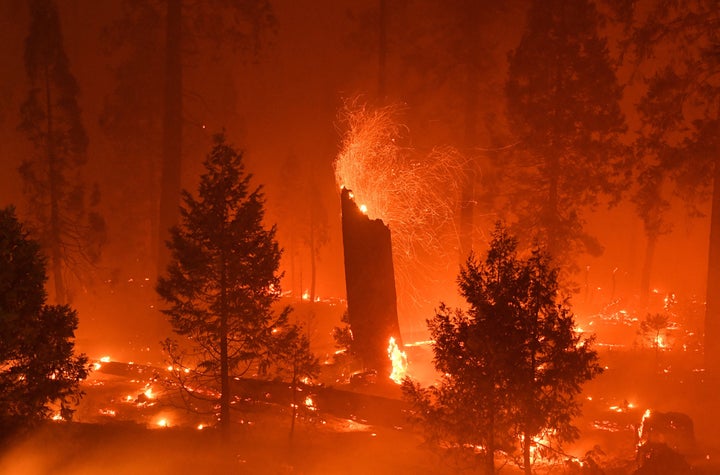 In this long exposure photograph, a burning tree emits embers as flames from the Caldor fire continue to burn in Twin Bridges