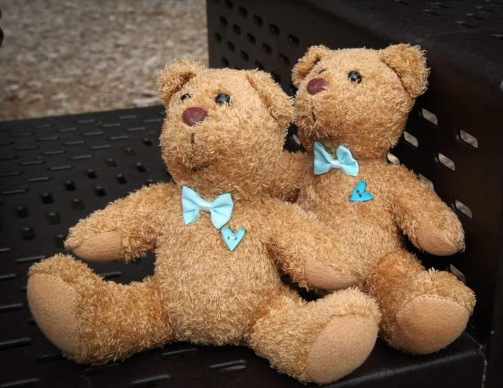 Teddy bears donated by Molly Bears, which are the same size as the twins