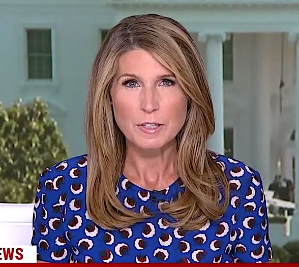 Nicolle Wallace and Michael Schmidt relationship: What you should know -  Tuko.co.ke