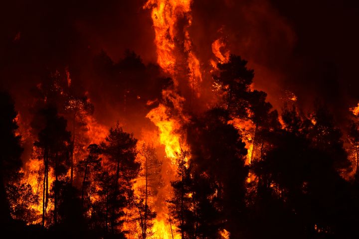 ギリシャの山火事＝2021年8月8日