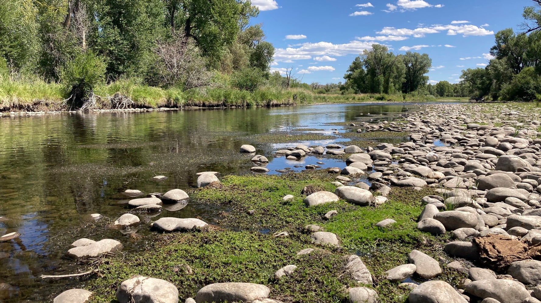Treasured Western Trout Streams Wither Amid Heat, Drought