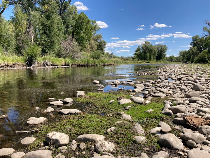 Exposed rocks and aquatic plants are seen alongside the North Platte River at Treasure Island in southern Wyoming, on Tuesday