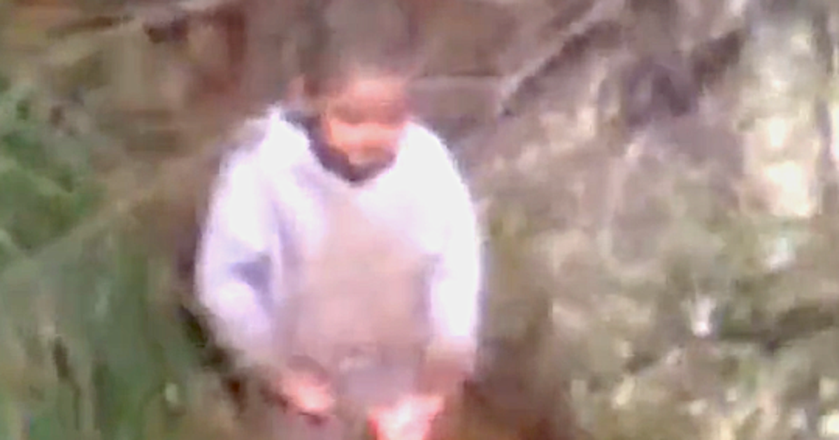 Toddler Found Alive And Well After 3 Days Missing In Australian Woods ...
