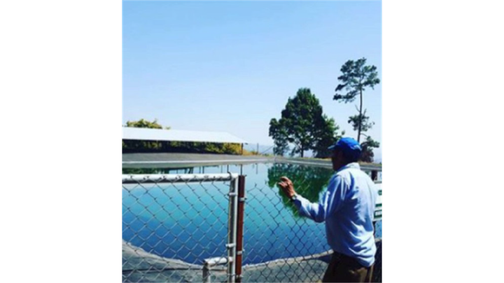 川井さんが契約するアボカド農園の貯水プールの様子