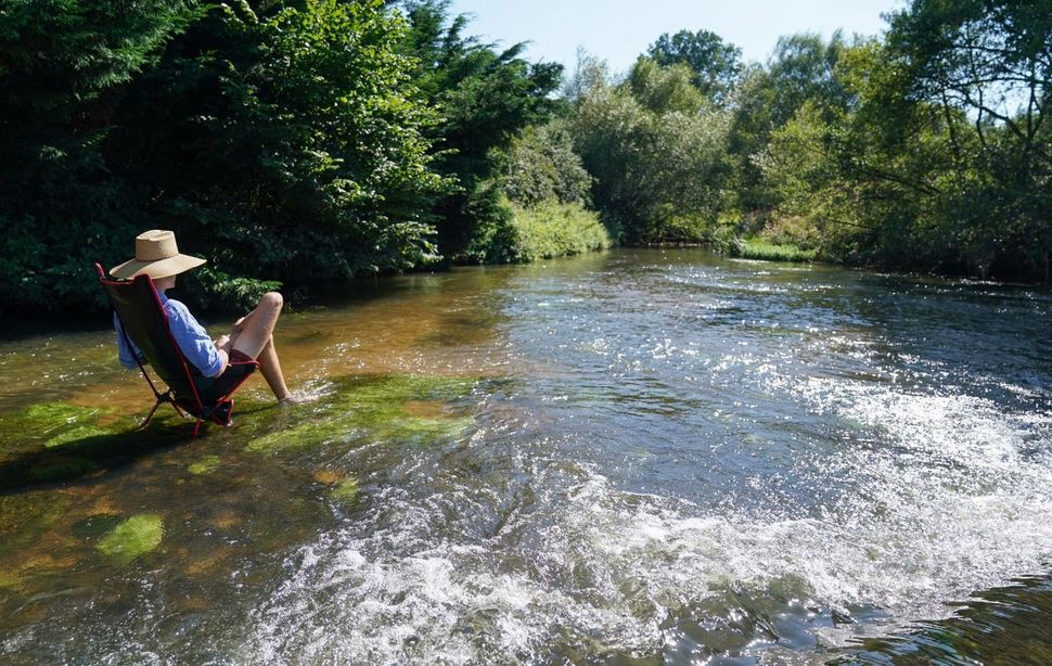 Cooling off in the river Wey in Tilford, Surrey. 