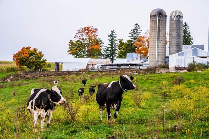 Current Democratic tax proposals do not actually target family farms, like this one in Wisconsin, but that isn't stopping opponents from invoking them.