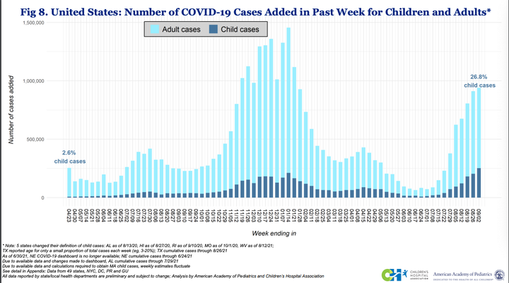 COVID-19 cases among children (seen in dark blue) rose recently to their highest level since the start of the pandemic. Cases among adults (seen in light blue) have also gone up.