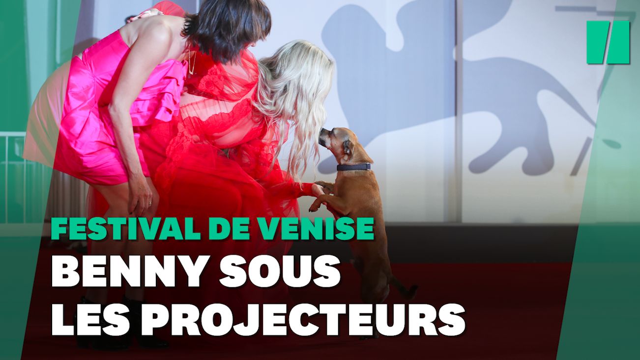 Mostra de Venise 2021: Ce chien a volé la vedette à Kate Hudson