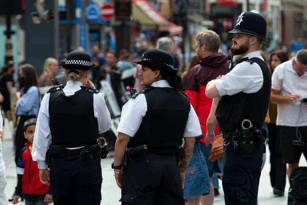 Metropolitan Police officers have been blamed for bungling the search for