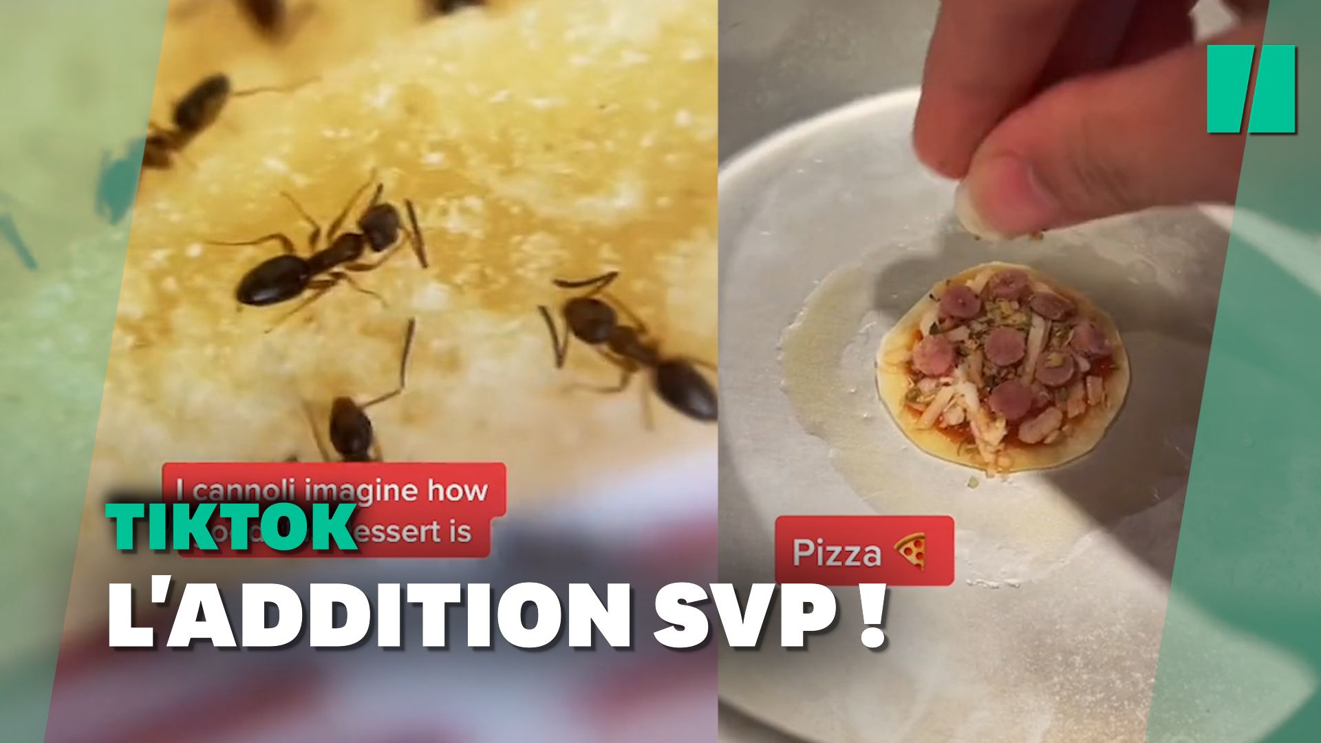 Ces restaurants pour fourmis vont vous faire craquer