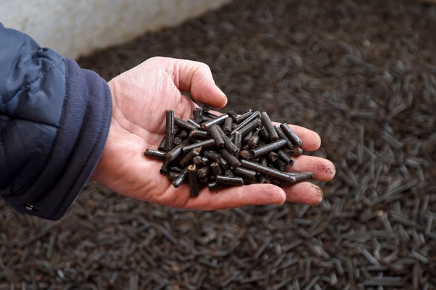 Densified wood pellets for biomass