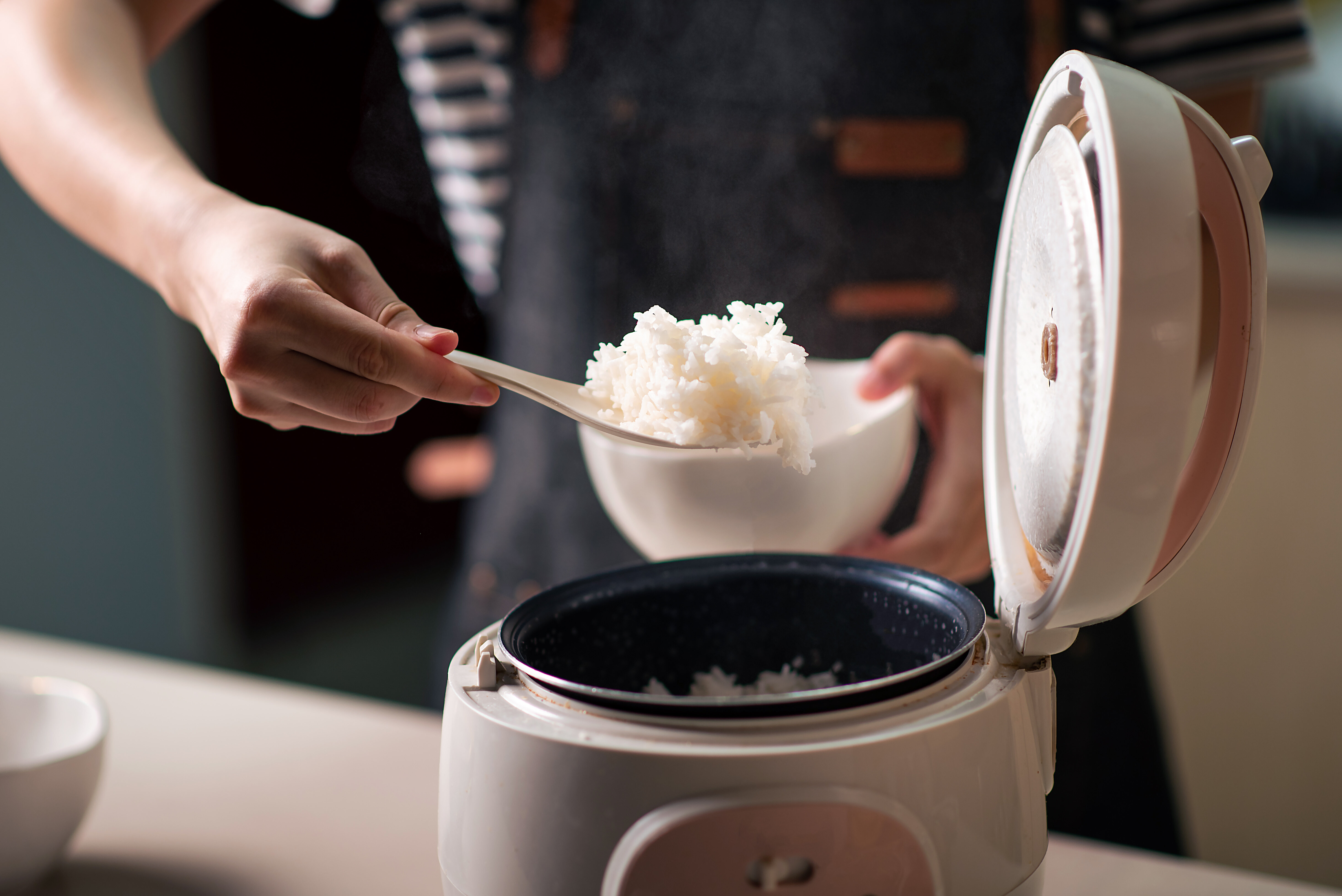 what can you do in a rice cooker