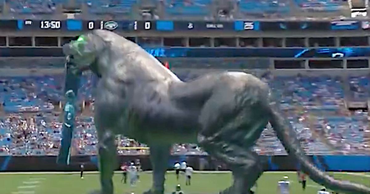 The Carolina Panthers Released A 'Mixed Reality' Panther Video Before Game  Against Jets And It Was Incredible - BroBible