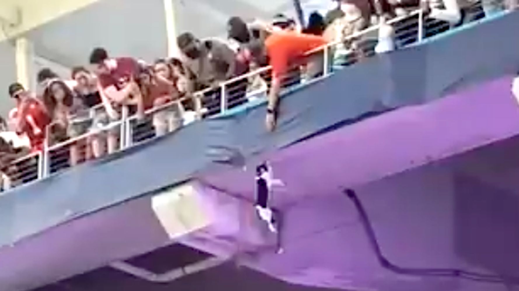 Football Fans Cushion Cat's Fall From Stadium Upper Deck With American Flag