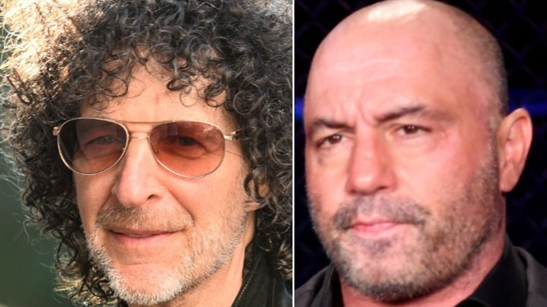 Howard Stern Mocks Joe Rogan For Taking De-Worming Meds, Rips Anti-Vaxxers