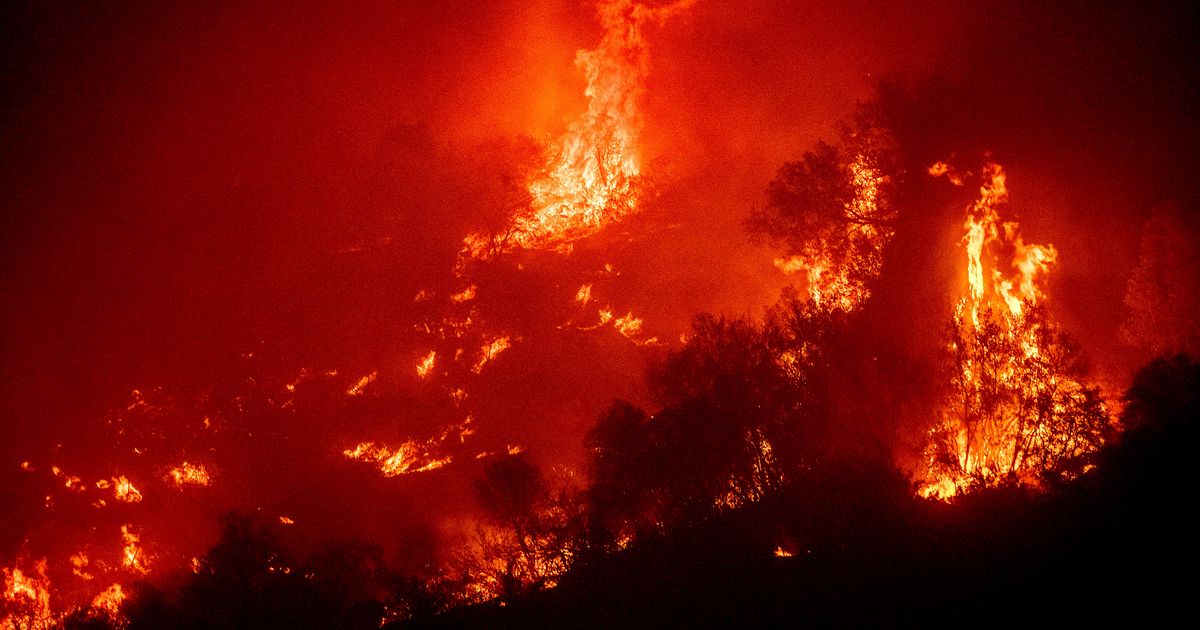 Sequoia National Park's Giant Trees At Risk As Wildfires Grow