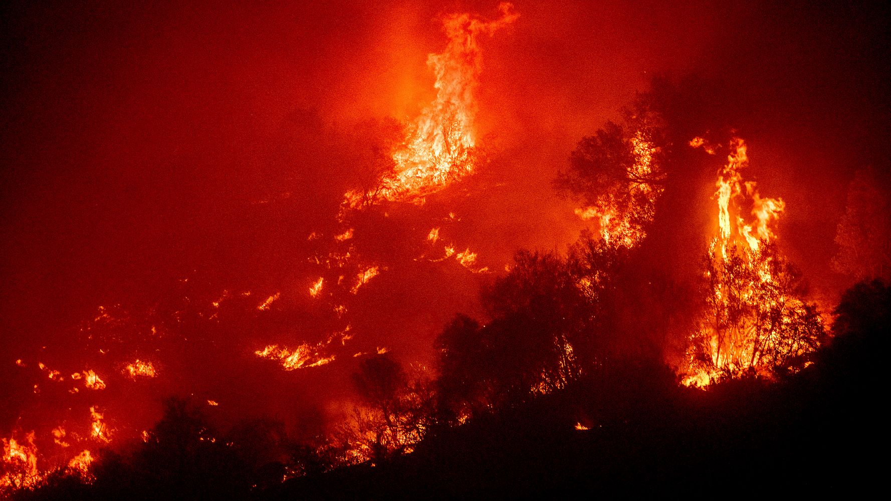 Sequoia National Park's Giant Trees At Risk As Wildfires Grow