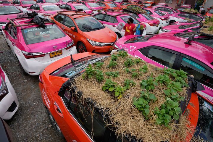 Μικροσκοπικοί κήποι φυτεύονται στις στέγες των σταθμευμένων ταξί στο Μπανγκόκ, Ταϊλάνδη.