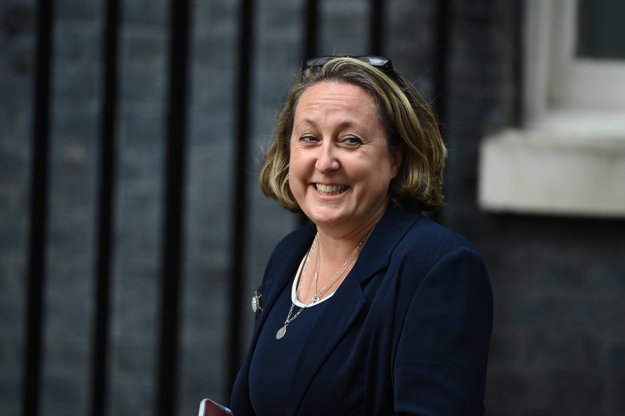The new international trade secretary, Anne-Marie Trevelyan