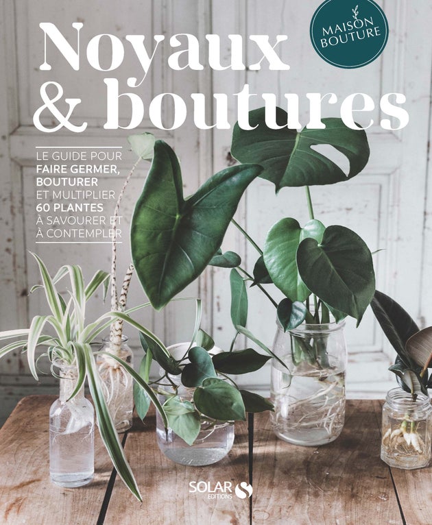 Noyaux et boutures de Tiphaine Germain-Lacour et Olivia Brun
