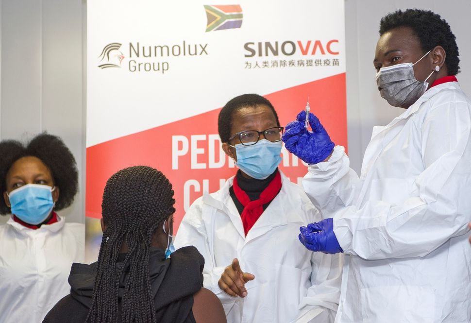 Sinovac's CoronaVac vaccine being distributed in Pretoria, South Africa