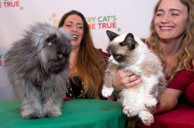  (Photo by Amanda Edwards/WireImage)