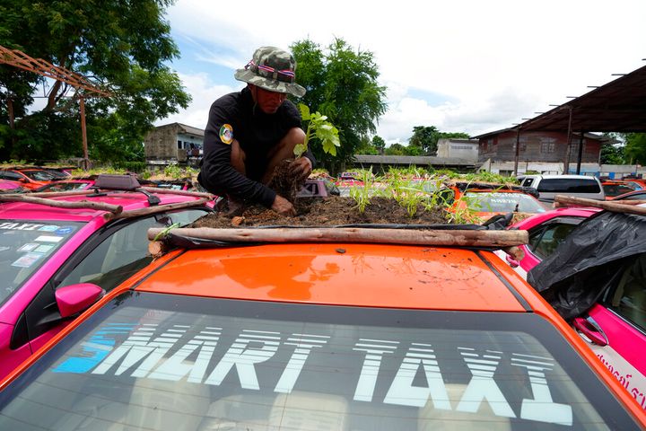 Workers from two taxi cooperatives assemble miniature gardens on the rooftops of unused taxis parked in Bangkok, Thailand.