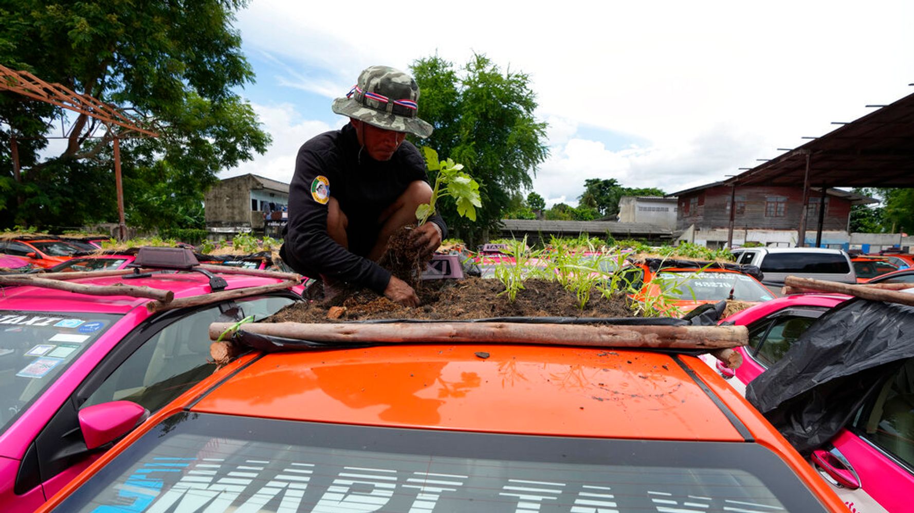 Thai Taxi Drivers Idled By COVID-19 Lockdowns Turn Car Roofs Into Gardens
